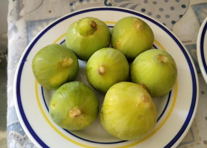 Frühstückspension San Francesco