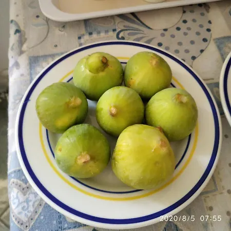 Bed & Breakfast San Francesco