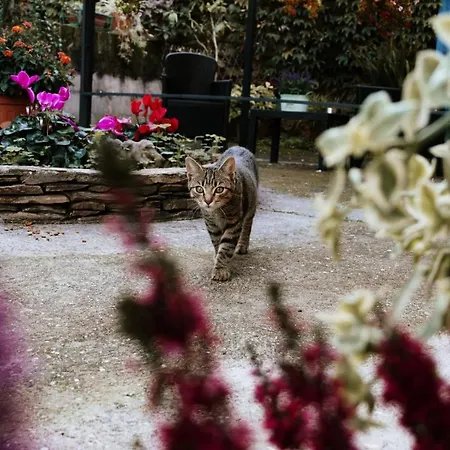 San Francesco Couette-café