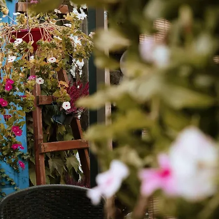 San Francesco Bed & Breakfast Oliena