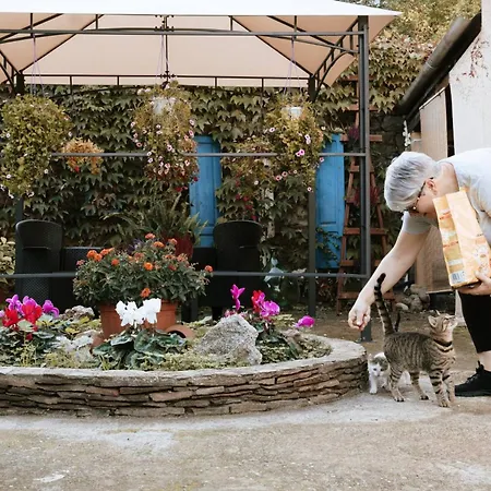 Couette-café San Francesco